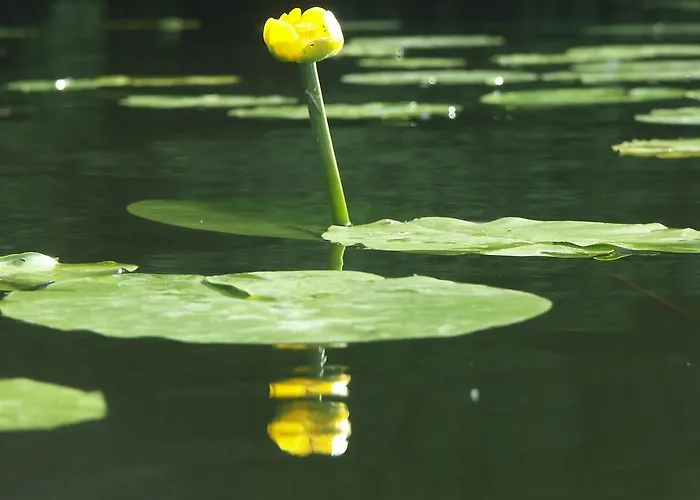 Lejlighed Charlottenhof *